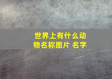 世界上有什么动物名称图片 名字